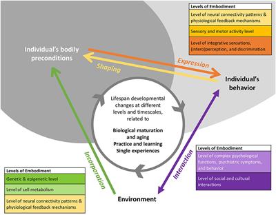 Frontiers A Developmental Framework for Embodiment Research The